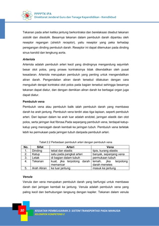 PPPPTK IPA
Direktorat Jenderal Guru dan Tenaga Kependidikan - Kemdikbud
KEGIATAN PEMBELAJARAN 2: SISTEM TRANSPORTASI PADA MANUSIA
KELOMPOK KOMPETENSI E
30
Tekanan pada arteri ketika jantung berkontraksi dan berelaksasi disebut tekanan
sistolik dan diastolik. Besarnya tekanan dalam pembuluh darah dipantau oleh
reseptor regangan (stretch receptor), yaitu reseptor yang peka terhadap
peregangan dinding pembuluh darah. Reseptor ini dapat ditemukan pada dinding
sinus karotid dan lengkung aorta.
Arteriola
Arteriola adalah pembuluh arteri kecil yang dindingnya mengandung sejumlah
besar otot polos, yang proses kontraksinya tidak dikendalikan oleh pusat
kesadaran. Arteriola merupakan pembuluh yang penting untuk mengendalikan
aliran darah. Pengendalian aliran darah tersebut dilakukan dengan cara
mengubah derajat kontraksi otot polos pada bagian tersebut sehingga besarnya
tekanan dapat diatur, dan dengan demikian aliran darah ke berbagai organ juga
dapat diatur.
Pembuluh vena
Pembuluh vena atau pembuluh balik ialah pembuluh darah yang membawa
darah ke arah jantung. Pembuluh vena terdiri atas tiga lapisan, seperti pembuluh
arteri. Dari lapisan dalam ke arah luar adalah endotel, jaringan elastik dan otot
polos, serta jaringan ikat fibrosa.Pada sepanjang pembuluh vena, terdapat katup-
katup yang mencegah darah kembali ke jaringan tubuh. Pembuluh vena terletak
lebih ke permukaan pada jaringan tubuh daripada pembuluh arteri.
Tabel 2.2 Perbedaan pembuluh arteri dengan pembuluh vena
No. Sifat Arteri Vena
1. Dinding tebal dan elastis tipis, kurang elastis
2. Katup satu pada pangkal arteri banyak, sepanjang vena
3. Letak di bagian dalam tubuh permukaan tubuh
4. Tekanan kuat, jika terpotong darah
memancar
lemah, jika terpotong
darah menetes
5. Arah Aliran ke luar jantung masuk ke jantung
Venula
Venula dan vena merupakan pembuluh darah yang berfungsi untuk membawa
darah dari jaringan kembali ke jantung. Venula adalah pembuluh vena yang
paling kecil dan berhubungan langsung dengan kapiler. Tekanan dalam venula
 