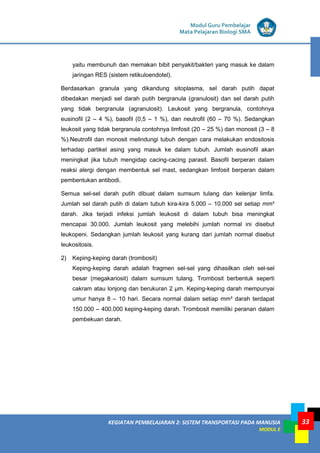 KEGIATAN PEMBELAJARAN 2: SISTEM TRANSPORTASI PADA MANUSIA
MODUL E
Modul Guru Pembelajar
Mata Pelajaran Biologi SMA
33
yaitu membunuh dan memakan bibit penyakit/bakteri yang masuk ke dalam
jaringan RES (sistem retikuloendotel).
Berdasarkan granula yang dikandung sitoplasma, sel darah putih dapat
dibedakan menjadi sel darah putih bergranula (granulosit) dan sel darah putih
yang tidak bergranula (agranulosit). Leukosit yang bergranula, contohnya
eusinofil (2 – 4 %), basofil (0,5 – 1 %), dan neutrofil (60 – 70 %). Sedangkan
leukosit yang tidak bergranula contohnya limfosit (20 – 25 %) dan monosit (3 – 8
%).Neutrofil dan monosit melindungi tubuh dengan cara melakukan endositosis
terhadap partikel asing yang masuk ke dalam tubuh. Jumlah eusinofil akan
meningkat jika tubuh mengidap cacing-cacing parasit. Basofil berperan dalam
reaksi alergi dengan membentuk sel mast, sedangkan limfosit berperan dalam
pembentukan antibodi.
Semua sel-sel darah putih dibuat dalam sumsum tulang dan kelenjar limfa.
Jumlah sel darah putih di dalam tubuh kira-kira 5.000 – 10.000 sel setiap mm³
darah. Jika terjadi infeksi jumlah leukosit di dalam tubuh bisa meningkat
mencapai 30.000. Jumlah leukosit yang melebihi jumlah normal ini disebut
leukopeni. Sedangkan jumlah leukosit yang kurang dari jumlah normal disebut
leukositosis.
2) Keping-keping darah (trombosit)
Keping-keping darah adalah fragmen sel-sel yang dihasilkan oleh sel-sel
besar (megakariosit) dalam sumsum tulang. Trombosit berbentuk seperti
cakram atau lonjong dan berukuran 2 μm. Keping-keping darah mempunyai
umur hanya 8 – 10 hari. Secara normal dalam setiap mm³ darah terdapat
150.000 – 400.000 keping-keping darah. Trombosit memiliki peranan dalam
pembekuan darah.
 