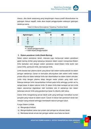 KEGIATAN PEMBELAJARAN 2: SISTEM TRANSPORTASI PADA MANUSIA
MODUL E
Modul Guru Pembelajar
Mata Pelajaran Biologi SMA
37
rhesus. Jika darah seseorang yang bergolongan rhesus positif ditransfusikan ke
golongan rhesus negatif, maka akan terjadi penggumpalan walaupun golongan
darahnya sama.
Tabel 2.4.Skema Kemungkinan Terjadinya Transfusi Darah
Resipien
Aglutinin
DONOR
Aglutinogen A B AB O
A
B
AB
O
-
+
+
-
+
-
+
-
-
-
-
-
+
+
-
-
Keterangan
+ = terjadi penggumpalan
- = tidak terjadi penggumpqlan
3. Sistem peredaran Limfe (Getah Bening)
Selain sistem peredaran darah, manusia juga mempunyai sistem peredaran
getah bening (limfa) yang keduanya berperan dalam sistem transportasi.Sistem
limfa berkaitan erat dengan sistem peredaran darah.Sistem limfa terdiri dari
cairan limfa, pembuluh limfa, dan kelenjar limfa.
Limfa berasal dari plasma darah yang keluar dari sistem kardiovaskular ke dalam
jaringan sekitarnya. Cairan ini kemudian dikumpulkan oleh sistem limfa melalui
proses difusi ke dalam kelenjar limfa dan dikembalikan ke dalam sistem sirkulasi.
Limfa mirip dengan plasma tetapi dengan kadar protein yang lebih kecil.
Kelenjar-kelenjar limfa menambahkan limfosit pada limfa sehingga jumlah sel itu
sangat besar di dalam saluran limfa. Di dalam limfa tidak terdapat sel lain.Limfa
dalam salurannya digerakkan oleh kontraksi otot di sekitarnya dan dalam
beberapa saluran limfa yang gerakannya besar itu dibantu oleh katup.
Cairan limfa mengandung sel-sel darah putih yang berfungsi mematikan kuman
penyakit yang masuk ke dalam tubuh. Cairan ini keluar dari pembuluh darah dan
mengisi ruang antarsel sehingga membasahi seluruh jaringan tubuh.
Fungsi Sistem Limfatik
a) Mengangkut limfosit.
b) Mengembalikan cairan dan protein dari jaringan ke sirkulasi darah.
c) Membawa lemak emulsi dari jaringan sekitar usus halus ke darah.
 