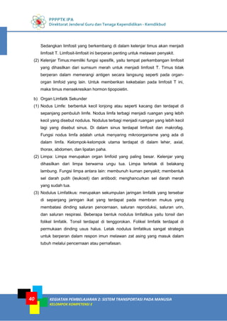 PPPPTK IPA
Direktorat Jenderal Guru dan Tenaga Kependidikan - Kemdikbud
KEGIATAN PEMBELAJARAN 2: SISTEM TRANSPORTASI PADA MANUSIA
KELOMPOK KOMPETENSI E
40
Sedangkan limfosit yang berkembang di dalam kelenjar timus akan menjadi
limfosit T. Limfosit-limfosit ini berperan penting untuk melawan penyakit.
(2) Kelenjar Timus:memiliki fungsi spesifik, yaitu tempat perkembangan limfosit
yang dihasilkan dari sumsum merah untuk menjadi limfosit T. Timus tidak
berperan dalam memerangi antigen secara langsung seperti pada organ-
organ limfoid yang lain. Untuk memberikan kekebalan pada limfosit T ini,
maka timus mensekresikan hormon tipopoietin.
b) Organ Limfatik Sekunder
(1) Nodus Limfe: berbentuk kecil lonjong atau seperti kacang dan terdapat di
sepanjang pembuluh limfe. Nodus limfa terbagi menjadi ruangan yang lebih
kecil yang disebut nodulus. Nodulus terbagi menjadi ruangan yang lebih kecil
lagi yang disebut sinus. Di dalam sinus terdapat limfosit dan makrofag.
Fungsi nodus limfa adalah untuk menyaring mikroorganisme yang ada di
dalam limfa. Kelompok-kelompok utama terdapat di dalam leher, axial,
thorax, abdomen, dan lipatan paha.
(2) Limpa: Limpa merupakan organ limfoid yang paling besar. Kelenjar yang
dihasilkan dari limpa berwarna ungu tua. Limpa terletak di belakang
lambung. Fungsi limpa antara lain: membunuh kuman penyakit; membentuk
sel darah putih (leukosit) dan antibodi; menghancurkan sel darah merah
yang sudah tua.
(3) Nodulus Limfatikus: merupakan sekumpulan jaringan limfatik yang tersebar
di sepanjang jaringan ikat yang terdapat pada membran mukus yang
membatasi dinding saluran pencernaan, saluran reproduksi, saluran urin,
dan saluran respirasi. Beberapa bentuk nodulus limfatikus yaitu tonsil dan
folikel limfatik. Tonsil terdapat di tenggorokan. Folikel limfatik terdapat di
permukaan dinding usus halus. Letak nodulus limfatikus sangat strategis
untuk berperan dalam respon imun melawan zat asing yang masuk dalam
tubuh melalui pencernaan atau pernafasan.
 