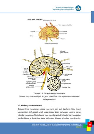 KEGIATAN PEMBELAJARAN 2: SISTEM TRANSPORTASI PADA MANUSIA
MODUL E
Modul Guru Pembelajar
Mata Pelajaran Biologi SMA
41
Gambar 2.7. Struktur nodulus limpatikus
Sumber: http://medinaaisyah.blogspot.co.id/2013/11/biologi-sistem-peredaran-
limfa-getah.html
b. Fisiologi Sistem Limfatik
Sirkulasi limfe merupakan proses yang rumit dan sulit dipahami. Satu fungsi
utama sistem limfe adalah untuk berpartisipasi dalam pertukaran kontinyu cairan
interstial merupakan filtrat plasma yang menyilang dinding kapiler dan kecepatan
pembentukannya tergantung pada perbedaan tekanan di antara membran ini.
 