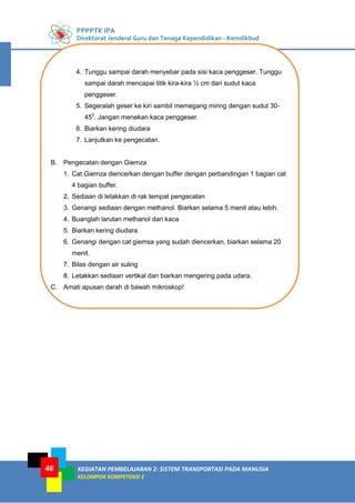 PPPPTK IPA
Direktorat Jenderal Guru dan Tenaga Kependidikan - Kemdikbud
KEGIATAN PEMBELAJARAN 2: SISTEM TRANSPORTASI PADA MANUSIA
KELOMPOK KOMPETENSI E
46
4. Tunggu sampai darah menyebar pada sisi kaca penggeser. Tunggu
sampai darah mencapai titik kira-kira ½ cm dari sudut kaca
penggeser.
5. Segeralah geser ke kiri sambil memegang miring dengan sudut 30-
450
. Jangan menekan kaca penggeser.
6. Biarkan kering diudara
7. Lanjutkan ke pengecatan.
B. Pengecatan dengan Giemza
1. Cat Giemza diencerkan dengan buffer dengan perbandingan 1 bagian cat
4 bagian buffer.
2. Sediaan di letakkan di rak tempat pengecatan
3. Genangi sediaan dengan methanol. Biarkan selama 5 menit atau lebih.
4. Buanglah larutan methanol dari kaca
5. Biarkan kering diudara
6. Genangi dengan cat giemsa yang sudah diencerkan, biarkan selama 20
menit.
7. Bilas dengan air suling
8. Letakkan sediaan vertikal dan biarkan mengering pada udara.
C. Amati apusan darah di bawah mikroskop!
 