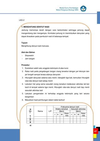 KEGIATAN PEMBELAJARAN 2: SISTEM TRANSPORTASI PADA MANUSIA
MODUL E
Modul Guru Pembelajar
Mata Pelajaran Biologi SMA
47
LKG 2
1. MENGHITUNG DENYUT NADI
Jantung memompa darah dengan cara berkontraksi sehingga jantung dapat
mengembang dan mengempis. Kontraksi jantung ini menimbulkan denyutan yang
dapat dirasakan pada pembuluh nadi di beberapa tempat.
Tujuan
Menghitung denyut nadi manusia.
Alat dan Bahan
- Stopwatch
- Jam tangan
Prosedur
1. Dudukkan salah satu anggota kelompok di atas kursi
2. Raba nadi pada pergelangan tangan orang tersebut dengan jari telunjuk dan
jari tengah sampai terasa adanya denyutan
3. Hitunglah denyutan selama satu menit. Ulangilah tiga kali, kemudian hitunglah
rata-rata denyut nadi setiap menit
4. Lakukan hal yang sama sesudah orang tersebut melakukan aktivitas lari-lari
kecil di tempat selama tiga menit. Hitunglah rata-rata denyut nadi tiap menit
sesudah aktivitas tadi
5. Lakukan pengamatan ini terhadap anggota kelompok yang lain secara
bergantian
6. Masukkan hasil perhitungan dalam table berikut!
D
i
s
k
u
si
No Nama L/P
Frekuensi denyut nadi
Waktu istirahat Sesudah aktivitas
Menit Menit
I II III
Rata-
rata
I II III
Rata-
rata
1
2
3
 