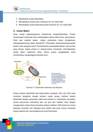 PPPPTK IPA
Direktorat Jenderal Guru dan Tenaga Kependidikan - Kemdikbud
KEGIATAN PEMBELAJARAN 3: FOTOSINTESIS
KELOMPOK KOMPETENSI E
54
4. Menjelaskan proses fotosintesis
5. Membedakan struktur daun tumbuhan C3, C4, serta CAM.
6. Membedakan proses fotosintesis pada tumbuhan C3, C4, serta CAM
C. Uraian Materi
Aliran energI melaluiorganisme hidupdimulai denganfotosintesis. Proses
inimenyimpan energI dari sinar mataharidalam bentuk ikatan kimia, yaitu glukosa.
Pada saat respirasi seluler, melalui pemecahan ikatan kimiaglukosa,
selmelepaskanenergi dalam bentukATP. Fotosintesis danrespirasiselulerseperti
duasisi mata uangyang sama. Produkdarisatu prosesadalahreaktan untuk proses
yang lainnya. Kedua proses ini masing-masing menyimpan danmelepaskan
energI dalam organisme hidup. Kedua proses inijugabekerja sama
untukmendaur ulangoksigendi atmosfer bumi.
Gambar 3.1. Keberkaitan fotosintesis dan Respirasi
Proses sintesis karbohidrat dari bahan-bahan anorganik (CO2 dan H2O) pada
tumbuhan berpigmen dengan bantuan energi cahaya matahari disebut
fotosintesis dengan persamaan reaksi kimia berikut ini. Fotosintesis merupakan
proses penyusunan karbohidrat atau zat gula oleh makhluk hidup dengan
menggunakan energi cahaya (terutama cahaya matahari). Oleh karena itu, hanya
golongan tumbuhan dan beberapa jenis bakteri saja yang mampu menyerap
energi matahari dan memanfaatkannya untuk fotosintesis.
Sumber gambar:
http://ww2.chandler.k12.
az.us/cms/lib6/AZ010011
75/Centricity/Domain/493
9/Chapter%204%20-
%20Photosynthesis%20
and%20Cellular%20Respi
ration.pdf
 