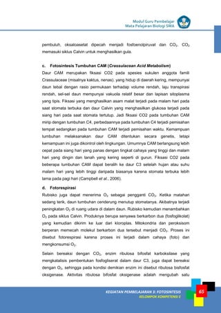 LISTRIK untuk SMP
KEGIATAN PEMBELAJARAN 3: FOTOSINTESIS
KELOMPOK KOMPETENSI E
Modul Guru Pembelajar
Mata Pelajaran Biologi SMA
65
pembuluh, oksaloasetat dipecah menjadi fosfoenolpiruvat dan CO2. CO2
memasuki siklus Calvin untuk menghasilkan gula.
c. Fotosintesis Tumbuhan CAM (Crassulacean Acid Metabolism)
Daur CAM merupakan fiksasi CO2 pada spesies sukulen anggota famili
Crassulaceae (misalnya kaktus, nenas). yang hidup di daerah kering, mempunyai
daun tebal dengan rasio permukaan terhadap volume rendah, laju transpirasi
rendah, sel-sel daun mempunyai vakuola relatif besar dan lapisan sitoplasma
yang tipis. Fiksasi yang menghasilkan asam malat terjadi pada malam hari pada
saat stomata terbuka dan daur Calvin yang menghasilkan glukosa terjadi pada
siang hari pada saat stomata tertutup. Jadi fiksasi CO2 pada tumbuhan CAM
mirip dengan tumbuhan C4, perbedaannya pada tumbuhan C4 terjadi pemisahan
tempat sedangkan pada tumbuhan CAM terjadi pemisahan waktu. Kemampuan
tumbuhan melaksanakan daur CAM ditentukan secara genetis, tetapi
kemampuan ini juga dikontrol oleh lingkungan. Umumnya CAM berlangsung lebih
cepat pada siang hari yang panas dengan tingkat cahaya yang tinggi dan malam
hari yang dingin dan tanah yang kering seperti di gurun. Fiksasi CO2 pada
beberapa tumbuhan CAM dapat beralih ke daur C3 setelah hujan atau suhu
malam hari yang lebih tinggi daripada biasanya karena stomata terbuka lebih
lama pada pagi hari (Campbell et al., 2006).
d. Fotorespirasi
Rubisko juga dapat menerima O2 sebagai pengganti CO2. Ketika matahari
sedang terik, daun tumbuhan cenderung menutup stomatanya. Akibatnya terjadi
peningkatan O2 di ruang udara di dalam daun. Rubisko kemudian menambahkan
O2 pada siklus Calvin. Produknya berupa senyawa berkarbon dua (fosfoglikolat)
yang kemudian dikirim ke luar dari kloroplas. Mitokondria dan peroksisom
berperan memecah molekul berkarbon dua tersebut menjadi CO2. Proses ini
disebut fotorespirasi karena proses ini terjadi dalam cahaya (foto) dan
mengkonsumsi O2.
Selain bereaksi dengan CO2, enzim ribulosa bifosfat karboksilase yang
mengkatalisis pembentukan fosfogliserat dalam daur C3, juga dapat bereaksi
dengan O2, sehingga pada kondisi demikian enzim ini disebut ribulosa bisfosfat
oksigenase. Aktivitas ribulosa bifosfat oksigenase adalah mengubah satu
 