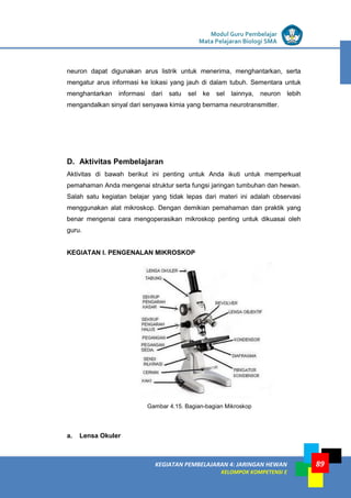 LISTRIK untuk SMP
KEGIATAN PEMBELAJARAN 4: JARINGAN HEWAN
KELOMPOK KOMPETENSI E
Modul Guru Pembelajar
Mata Pelajaran Biologi SMA
89
neuron dapat digunakan arus listrik untuk menerima, menghantarkan, serta
mengatur arus informasi ke lokasi yang jauh di dalam tubuh. Sementara untuk
menghantarkan informasi dari satu sel ke sel lainnya, neuron lebih
mengandalkan sinyal dari senyawa kimia yang bernama neurotransmitter.
D. Aktivitas Pembelajaran
Aktivitas di bawah berikut ini penting untuk Anda ikuti untuk memperkuat
pemahaman Anda mengenai struktur serta fungsi jaringan tumbuhan dan hewan.
Salah satu kegiatan belajar yang tidak lepas dari materi ini adalah observasi
menggunakan alat mikroskop. Dengan demikian pemahaman dan praktik yang
benar mengenai cara mengoperasikan mikroskop penting untuk dikuasai oleh
guru.
KEGIATAN I. PENGENALAN MIKROSKOP
a. Lensa Okuler
Gambar 4.15. Bagian-bagian Mikroskop
 