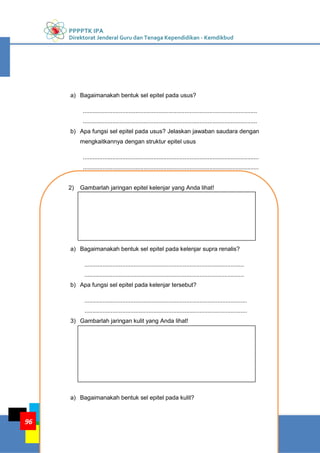 PPPPTK IPA
Direktorat Jenderal Guru dan Tenaga Kependidikan - Kemdikbud
KEGIATAN PEMBELAJARAN 4: JARINGAN HEWAN
KELOMPOK KOMPETENSI E
96
a) Bagaimanakah bentuk sel epitel pada usus?
..........................................................................................................
..........................................................................................................
b) Apa fungsi sel epitel pada usus? Jelaskan jawaban saudara dengan
mengkaitkannya dengan struktur epitel usus
...........................................................................................................
...........................................................................................................
2) Gambarlah jaringan epitel kelenjar yang Anda lihat!
a) Bagaimanakah bentuk sel epitel pada kelenjar supra renalis?
.................................................................................................
.................................................................................................
b) Apa fungsi sel epitel pada kelenjar tersebut?
...................................................................................................
...................................................................................................
3) Gambarlah jaringan kulit yang Anda lihat!
a) Bagaimanakah bentuk sel epitel pada kulit?
 