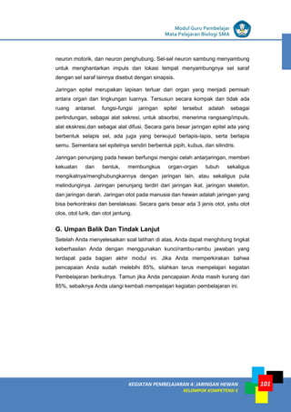 LISTRIK untuk SMP
KEGIATAN PEMBELAJARAN 4: JARINGAN HEWAN
KELOMPOK KOMPETENSI E
Modul Guru Pembelajar
Mata Pelajaran Biologi SMA
101
neuron motorik, dan neuron penghubung. Sel-sel neuron sambung menyambung
untuk menghantarkan impuls dan lokasi tempat menyambungnya sel saraf
dengan sel saraf lainnya disebut dengan sinapsis.
Jaringan epitel merupakan lapisan terluar dari organ yang menjadi pemisah
antara organ dan lingkungan luarnya. Tersusun secara kompak dan tidak ada
ruang antarsel. fungsi-fungsi jaringan epitel tersebut adalah sebagai
perlindungan, sebagai alat sekresi, untuk absorbsi, menerima rangsang/impuls,
alat ekskresi,dan sebagai alat difusi. Secara garis besar jaringan epitel ada yang
berbentuk selapis sel, ada juga yang berwujud berlapis-lapis, serta berlapis
semu. Sementara sel epitelnya sendiri berbentuk pipih, kubus, dan silindris.
Jaringan penunjang pada hewan berfungsi mengisi celah antarjaringan, memberi
kekuatan dan bentuk, membungkus organ-organ tubuh sekaligus
mengikatnya/menghubungkannya dengan jaringan lain, atau sekaligus pula
melindunginya. Jaringan penunjang terdiri dari jaringan ikat, jaringan skeleton,
dan jaringan darah. Jaringan otot pada manusia dan hewan adalah jaringan yang
bisa berkontraksi dan berelaksasi. Secara garis besar ada 3 jenis otot, yaitu otot
olos, otot lurik, dan otot jantung.
G. Umpan Balik Dan Tindak Lanjut
Setelah Anda menyelesaikan soal latihan di atas, Anda dapat menghitung tingkat
keberhasilan Anda dengan menggunakan kunci/rambu-rambu jawaban yang
terdapat pada bagian akhir modul ini. Jika Anda memperkirakan bahwa
pencapaian Anda sudah melebihi 85%, silahkan terus mempelajari kegiatan
Pembelajaran berikutnya. Tamun jika Anda pencapaian Anda masih kurang dari
85%, sebaiknya Anda ulangi kembali mempelajari kegiatan pembelajaran ini.
 