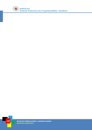 PPPPTK IPA
Direktorat Jenderal Guru dan Tenaga Kependidikan - Kemdikbud
KEGIATAN PEMBELAJARAN 4: JARINGAN HEWAN
KELOMPOK KOMPETENSI E
102
 