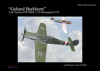“ Gehard Barkhorn”  1:48 Tamiya FW190D, 1:32 Monogram P-47 … girlfriend’s name GOOD 220 aerial victories 