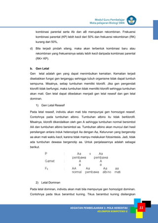 KEGIATAN PEMBELAJARAN 1: POLA HEREDITAS
KELOMPOK KOMPETENSI G
Modul Guru Pembelajar
Mata pelajaran Biologi SMA
11
kombinasi parental serta Ab dan aB merupakan rekombinan. Frekuensi
kombinasi parental (KP) lebih kecil dari 50% dan frekuensi rekombinan (RK)
kurang dari 50%,
d) Bila terjadi pindah silang, maka akan terbentuk kombinasi baru atau
rekombinan yang frekuensinya selalu lebih kecil daripada kombinasi parental
(RK< KP).
b. Gen Letal
Gen letal adalah gen yang dapat menimbulkan kematian. Kematian terjadi
disebabkan fungsi gen terganggu sehingga tubuh organisme tidak dapat tumbuh
sempurna. Misalnya, setiap tumbuhan memiliki klorofil. Jika gen pengendali
klorofil tidak berfungsi, maka tumbuhan tidak memiliki klorofil sehingga tumbuhan
akan mati. Gen letal dapat dibedakan menjadi gen letal resesif dan gen letal
dominan.
1) Gen Letal Resesif
Pada letal resesif, individu akan mati bila mempunyai gen homozigot resesif.
Contohnya pada tumbuhan albino. Tumbuhan albino itu tidak berklorofil.
Misalnya, klorofil dikendalikan oleh gen A sehingga tumbuhan normal bersimbol
AA dan tumbuhan albino bersimbol aa. Tumbuhan albino akan muncul dari hasil
persilangan antara induk heterozigot Aa dengan Aa, Keturunan yang bergenotip
aa akan mati waktu kecil, karena tidak mampu melakukan fotosintesis. Jadi, tidak
ada tumbuhan dewasa bergenotip aa. Untuk penjelasannya adalah sebagai
berikut.
2) Letal Dominan
Pada letal dominan, individu akan mati bila mempunyai gen homozigot dominan.
Contohnya pada tikus berambut kuning. Tikus berambut kuning disilangkan
 