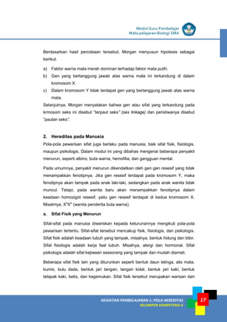 KEGIATAN PEMBELAJARAN 1: POLA HEREDITAS
KELOMPOK KOMPETENSI G
Modul Guru Pembelajar
Mata pelajaran Biologi SMA
17
Berdasarkan hasil percobaan tersebut, Morgan menyusun hipotesis sebagai
berikut.
a) Faktor warna mata merah dominan terhadap faktor mata putih.
b) Gen yang bertanggung jawab atas warna mata ini terkandung di dalam
kromosom X.
c) Dalam kromosom Y tidak terdapat gen yang bertanggung jawab atas warna
mata.
Selanjutnya, Morgan menyatakan bahwa gen atau sifat yang terkandung pada
krmosom seks ini disebut ”terpaut seks” (sex linkage) dan peristiwanya disebut
”pautan seks”.
2. Hereditas pada Manusia
Pola-pola pewarisan sifat juga berlaku pada manusia, baik sifat fisik, fisiologis,
maupun psikologis. Dalam modul ini yang dibahas mengenai beberapa penyakit
menurun, seperti albino, buta warna, hemofilia, dan gangguan mental.
Pada umumnya, penyakit menurun dikendalikan oleh gen gen resesif yang tidak
menampakkan fenotipnya. Jika gen resesif terdapat pada kromosom Y, maka
fenotipnya akan tampak pada anak laki-laki, sedangkan pada anak wanita tidak
muncul. Tetapi, pada wanita baru akan menampakkan fenotipnya dalam
keadaan homozigot resesif, yaitu gen resesif terdapat di kedua kromosom X.
Misalmya, Xb
Xb
(wanita penderita buta warna).
a. Sifat Fisik yang Menurun
Sifat-sifat pada manusia diwariskan kepada keturunannya mengikuti pola-pola
pewarisan tertentu. Sifat-sifat tersebut mencakup fisik, fisiologis, dan psikologis.
Sifat fisik adalah keadaan tubuh yang tampak, misalnya, bentuk hidung dan bibir.
Sifat fisiologis adalah kerja faal tubuh. Misalnya, alergi dan hormonal. Sifat
psikologis adalah sifat kejiwaan seseorang yang tampak dan mudah diamati.
Beberapa sifat fisik lain yang diturunkan seperti bentuk daun telinga, alis mata,
kumis, bulu dada, bentuk jari tangan, tangan kidal, bentuk jari kaki, bentuk
telapak kaki, betis, dan kegemukan. Sifat fisik tersebut merupakan warisan dari
 