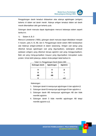 KEGIATAN PEMBELAJARAN 1: POLA HEREDITAS
KELOMPOK KOMPETENSI G
Modul Guru Pembelajar
Mata pelajaran Biologi SMA
21
Penggolongan darah tersebut didasarkan atas adanya aglutinogen (antigen)
tertentu di dalam sel darah merah. Adanya antigen tersebut dalam sel darah
merah dikendalikan oleh gen tertentu pula.
Golongan darah manusia dapat digolongkan menurut beberapa sistem seperti
berikut ini.
1) Sistem A, B, 0
Menurut Landsteiner (1900), golongan darah manusia dapat dibedakan menjadi
4 macam, yaitu A, B, AB, dan 0. Penggolongan darah sistem ABO berdasarkan
ada tidaknya antigen-antibodi di dalam seseorang. Antigen (zat asing) yang
dibentuk berupa aglutinogen (zat yang digumpalkan), sedangkan antibodi
(pelawan antigen) yang dibentuk berupa aglutinin (zat yang menggumpalkan).
Baik zat yang meng-gumpalkan maupun yang digumpalkan merupakan suatu
protein. Untuk lebih jelasnya, silakan Anda pelajari tabel berikut ini.
Tabel 1.4. Penggolongan Darah Sistem AB0
Golongan darah Aglutinogen Aglutinin
A
B
AB
0
A
B
AB
-
β
α
-
α β
Keterangan:
1. Golongan darah A mempunyai aglutinogen A dan aglutinin β.
2. Golongan darah B mempunyai aglutinogen B dan aglutinin α
3. Golongan darah AB mempunyai aglutinogen AB dan tidak
memiliki aglutinin.
4. Golongan darah 0 tidak memiliki aglutinogen AB tetapi
memiliki aglutinin α β.
 