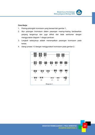 KEGIATAN PEMBELAJARAN 1: POLA HEREDITAS
KELOMPOK KOMPETENSI G
Modul Guru Pembelajar
Mata pelajaran Biologi SMA
25
Cara Kerja:
1. Potong-potonglah kromosom yang berasal dari gambar 1,
2. Atur potongan kromosom dalam pasangan masing-masing berdasarkan
panjang lengannya dan juga dilihat dari letak sentromer dengan
menggunakan diagram 1 sbagai panduan.
3. Langkah selanjutnya adalah menempelkan pasangan kromosom pada
kertas.
4. Ulangi proses 1-3 dengan menggunakan kromosom pada gambar 2.
 