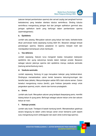 LISTRIK untuk SMP
KEGIATAN PEMBELAJARAN 2 : SISTEM REPRODUKSI PADA MANUSIA
KELOMPOK KOMPETENSI G
Modul Guru Pembelajar
Mata Pelajaran Biologi SMA
33
(saluran tempat pembentukan sperma) dan sel-sel Leydig (sel penghasil hormon
testosterone) yang tersebar diantara tubulus seminiferus. Dinding tubulus
seminiferus mengandung jaringan ikat dan jaringan epithelium germinal atau
jaringan epithelium benih yang berfungsi dalam pembentukan sperma
(spermatogenesis).
b. Epididimis
Jumlah satu pasang. Merupakan saluran yang keluar dari testis, berkelok-kelok
diluar permukaan testis sepanjang kurang lebih 6m. Berperan sebagai tempat
pematangan sperma. Selama perjalanan ini sperma menjadi motil dan
mendapatkan kemampuan untuk membuahi.
c. Vas deferens
Jumlah sepasang. Saluran lurus mengarah keatas merupakan kelanjutan
epididimis dan ujung salurannya berada dalam kelenjar prostat. Berperan
sebagai saluran jalannya sperma dari epididimis menuju vesikula seminalis
(kantung semen/kantung mani).
d. Vesikula seminalis
Jumlah sepasang. Kantung ini juga merupakan kelenjar yang berlekuk-lekuk.
Dindingnya mensekresikan cairan kental berwarna kekuning-kuningan dan
bersifat basa (alkalis). Menyumbangkan sekitar 60% total volume semen. Cairan
tersebut mengandung mukus (lendir), gula fruktosa (penyedia energi untuk
pergerakan sperma), enzim, vitamin dan hormon prostagladin.
e. Uretra
Jumlah satu buah. Merupakan saluran yang terdapat disepanjang penis, memiliki
lubang keluar di ujung penis. Berfungsi sebagai saluran keluar urine dan saluran
keluar air mani.
f. Kelenjar prostat.
Jumlah satu buah. Terdapat di bawah kandung kemih. Mensekresikan getahnya
secara langsung ke dalam uretra berupa cairan encer berwarna putih seperti
susu mengandung enzim antikoagulan dan asam sitrat (nutrisi bagi sperma).
 