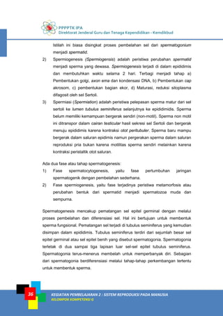 PPPPTK IPA
Direktorat Jenderal Guru dan Tenaga Kependidikan - Kemdikbud
KEGIATAN PEMBELAJARAN 2 : SISTEM REPRODUKSI PADA MANUSIA
KELOMPOK KOMPETENSI G
36
Istilah ini biasa disingkat proses pembelahan sel dari spermatogonium
menjadi spermatid.
2) Spermiogenesis (Spermiogensis) adalah peristiwa perubahan spermatid
menjadi sperma yang dewasa. Spermiogenesis terjadi di dalam epididimis
dan membutuhkan waktu selama 2 hari. Terbagi menjadi tahap a)
Pembentukan golgi, axon ema dan kondensasi DNA, b) Pembentukan cap
akrosom, c) pembentukan bagian ekor, d) Maturasi, reduksi sitoplasma
difagosit oleh sel Sertoli.
3) Spermiasi (Spermiation) adalah peristiwa pelepasan sperma matur dari sel
sertoli ke lumen tubulus seminiferus selanjutnya ke epididimidis. Sperma
belum memiliki kemampuan bergerak sendiri (non-motil). Sperma non motil
ini ditranspor dalam cairan testicular hasil sekresi sel Sertoli dan bergerak
menuju epididimis karena kontraksi otot peritubuler. Sperma baru mampu
bergerak dalam saluran epidimis namun pergerakan sperma dalam saluran
reproduksi pria bukan karena motilitas sperma sendiri melainkan karena
kontraksi peristaltik otot saluran.
Ada dua fase atau tahap spermatogenesis:
1) Fase spermatocytogenesis, yaitu fase pertumbuhan jaringan
spermatogenik dengan pembelahan sederhana.
2) Fase spermiogenesis, yaitu fase terjadinya peristiwa metamorfosis atau
perubahan bentuk dari spermatid menjadi spermatozoa muda dan
sempurna.
Spermatogenesis mencakup pematangan sel epitel germinal dengan melalui
proses pembelahan dan diferensiasi sel. Hal ini bertujuan untuk membentuk
sperma fungsional. Pematangan sel terjadi di tubulus seminiferus yang kemudian
disimpan dalam epididimis. Tubulus seminiferus terdiri dari sejumlah besar sel
epitel germinal atau sel epitel benih yang disebut spermatogonia. Spermatogonia
terletak di dua sampai tiga lapisan luar sel-sel epitel tubulus seminiferus.
Spermatogonia terus-menerus membelah untuk memperbanyak diri. Sebagian
dari spermatogonia berdiferensiasi melalui tahap-tahap perkembangan tertentu
untuk membentuk sperma.
 
