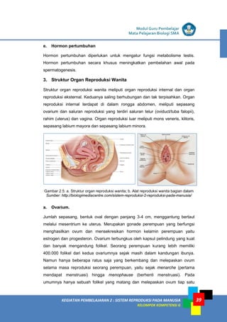 LISTRIK untuk SMP
KEGIATAN PEMBELAJARAN 2 : SISTEM REPRODUKSI PADA MANUSIA
KELOMPOK KOMPETENSI G
Modul Guru Pembelajar
Mata Pelajaran Biologi SMA
39
e. Hormon pertumbuhan
Hormon pertumbuhan diperlukan untuk mengatur fungsi metabolisme testis.
Hormon pertumbuhan secara khusus meningkatkan pembelahan awal pada
spermatogenesis.
3. Struktur Organ Reproduksi Wanita
Struktur organ reproduksi wanita meliputi organ reproduksi internal dan organ
reproduksi eksternal. Keduanya saling berhubungan dan tak terpisahkan. Organ
reproduksi internal terdapat di dalam rongga abdomen, meliputi sepasang
ovarium dan saluran reproduksi yang terdiri saluran telur (oviduct/tuba falopii),
rahim (uterus) dan vagina. Organ reproduksi luar meliputi mons veneris, klitoris,
sepasang labium mayora dan sepasang labium minora.
Gambar 2.5: a. Struktur organ reproduksi wanita; b. Alat reproduksi wanita bagian dalam
Sumber: http://biologimediacentre.com/sistem-reproduksi-2-reproduksi-pada-manusia/
a. Ovarium.
Jumlah sepasang, bentuk oval dengan panjang 3-4 cm, menggantung bertaut
melalui mesentrium ke uterus. Merupakan gonade perempuan yang berfungsi
menghasilkan ovum dan mensekresikan hormon kelamin perempuan yaitu
estrogen dan progesteron. Ovarium terbungkus oleh kapsul pelindung yang kuat
dan banyak mengandung folikel. Seorang perempuan kurang lebih memiliki
400.000 folikel dari kedua ovariumnya sejak masih dalam kandungan ibunya.
Namun hanya beberapa ratus saja yang berkembang dan melepaskan ovum
selama masa reproduksi seorang perempuan, yaitu sejak menarche (pertama
mendapat menstruasi) hingga menophause (berhenti menstruasi). Pada
umumnya hanya sebuah folikel yang matang dan melepaskan ovum tiap satu
 