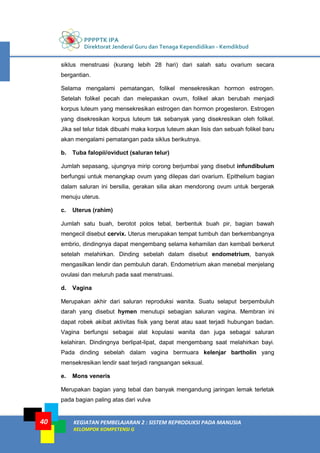 PPPPTK IPA
Direktorat Jenderal Guru dan Tenaga Kependidikan - Kemdikbud
KEGIATAN PEMBELAJARAN 2 : SISTEM REPRODUKSI PADA MANUSIA
KELOMPOK KOMPETENSI G
40
siklus menstruasi (kurang lebih 28 hari) dari salah satu ovarium secara
bergantian.
Selama mengalami pematangan, folikel mensekresikan hormon estrogen.
Setelah folikel pecah dan melepaskan ovum, folikel akan berubah menjadi
korpus luteum yang mensekresikan estrogen dan hormon progesteron. Estrogen
yang disekresikan korpus luteum tak sebanyak yang disekresikan oleh folikel.
Jika sel telur tidak dibuahi maka korpus luteum akan lisis dan sebuah folikel baru
akan mengalami pematangan pada siklus berikutnya.
b. Tuba falopii/oviduct (saluran telur)
Jumlah sepasang, ujungnya mirip corong berjumbai yang disebut infundibulum
berfungsi untuk menangkap ovum yang dilepas dari ovarium. Epithelium bagian
dalam saluran ini bersilia, gerakan silia akan mendorong ovum untuk bergerak
menuju uterus.
c. Uterus (rahim)
Jumlah satu buah, berotot polos tebal, berbentuk buah pir, bagian bawah
mengecil disebut cervix. Uterus merupakan tempat tumbuh dan berkembangnya
embrio, dindingnya dapat mengembang selama kehamilan dan kembali berkerut
setelah melahirkan. Dinding sebelah dalam disebut endometrium, banyak
mengasilkan lendir dan pembuluh darah. Endometrium akan menebal menjelang
ovulasi dan meluruh pada saat menstruasi.
d. Vagina
Merupakan akhir dari saluran reproduksi wanita. Suatu selaput berpembuluh
darah yang disebut hymen menutupi sebagian saluran vagina. Membran ini
dapat robek akibat aktivitas fisik yang berat atau saat terjadi hubungan badan.
Vagina berfungsi sebagai alat kopulasi wanita dan juga sebagai saluran
kelahiran. Dindingnya berlipat-lipat, dapat mengembang saat melahirkan bayi.
Pada dinding sebelah dalam vagina bermuara kelenjar bartholin yang
mensekresikan lendir saat terjadi rangsangan seksual.
e. Mons veneris
Merupakan bagian yang tebal dan banyak mengandung jaringan lemak terletak
pada bagian paling atas dari vulva
 