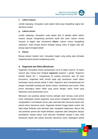 LISTRIK untuk SMP
KEGIATAN PEMBELAJARAN 2 : SISTEM REPRODUKSI PADA MANUSIA
KELOMPOK KOMPETENSI G
Modul Guru Pembelajar
Mata Pelajaran Biologi SMA
41
f. Labium mayora
Jumlah sepasang, merupakan suatu lipatan tebal yang mengelilingi vagina dan
ditumbuhi rambut
g. Labium minora
Jumlah sepasang, merupakan suatu lipatan tipis di sebelah dalam labium
mayora, banyak mengandung pembuluh darah dan saraf. Labium minora
menyatu di bagian atas membentuk clitoris. Labium minora mengelilingi
vestibulum, suatu tempat dimana terdapat lubang uretra di bagian atas dan
lubang vagina di bagian bawah.
h. Clitoris
Berupa sebuah tonjolan kecil, merupakan bagian yang paling peka terhadap
rangsang karena banyak mengandung saraf.
4. Oogenesis dan Siklus Menstruasi
Oogenesis merupakan proses pembentukan ovum di dalam ovarium. Di dalam
ovarium atau indung telur terdapat oogonium (oogonia = jamak). Oogonium
bersifat diploid (2n = mengandung 23 pasang kromosom atau 46 buah
kromosom). Oogenesis telah dimulai sejak bayi perempuan masih dalam
kandungan ibunya berusia sekitar 5 bulan. Oogonium akan memperbanyak diri
dengan membelah berulang kali secara mitosis, membentuk oosit primer. Oosit
primer terbungkus dalam folikel yang penuh dengan cairan nutrisi yang
diperlukan untuk pertumbuhan ovum.
Memasuki usia pubertas sekresi hormon estrogen akan memacu oosit primer
untuk melanjutkan proses oogenesis; oosit primer mengalami meiosis pertama
menghasilkan 2 sel berbeda ukuran yaitu oosit sekunder (berukuran besar) dan
polosit primer (berukuran kecil). Oogenesis terhenti hingga terjadi ovulasi, bila
tidak terjadi fertilisasi oosit sekunder akan mengalami degenerasi. Namun bila
ada penetrasi sperma dan terjadi fertilisasi, oogenesis akan dilanjutkan dengan
pembelahan meiosis kedua; oosit sekunder membelah menjadi 2 yaitu ootid
(berukuran besar) dan polosit sekunder (berukuran kecil). Sedangkan polosit
 