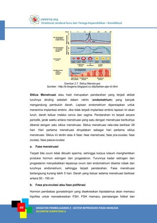PPPPTK IPA
Direktorat Jenderal Guru dan Tenaga Kependidikan - Kemdikbud
KEGIATAN PEMBELAJARAN 2 : SISTEM REPRODUKSI PADA MANUSIA
KELOMPOK KOMPETENSI G
44
Gambar 2.7. Siklus Menstruasi
Sumber : http://e-biogene.blogspot.co.id/p/bahan-ajar-iii.html
Siklus Menstruasi atau haid merupakan pendarahan yang terjadi akibat
luruhnya dinding sebelah dalam rahim (endometrium) yang banyak
mengandung pembuluh darah. Lapisan endometrium dipersiapkan untuk
menerima implantasi embrio. Jika tidak terjadi implantasi embrio lapisan ini akan
luruh, darah keluar melalui cervix dan vagina. Pendarahan ini terjadi secara
periodik, jarak waktu antara menstruasi yang satu dengan menstruasi berikutnya
dikenal dengan satu siklus menstruasi. Siklus menstruasi rata-rata berkisar 28
hari. Hari pertama menstruasi dinyatakan sebagai hari pertama siklus
menstruasi. Siklus ini terdiri atas 4 fase: fase menstruasi, fase pra-ovulasi, fase
ovulasi, fase pasca-ovulasi
a. Fase menstruasi
Terjadi bila ovum tidak dibuahi sperma, sehingga korpus luteum menghentikan
produksi hormon estrogen dan progesteron. Turunnya kadar estrogen dan
progesteron menyebabkan lepasnya ovum dari endometrium disertai robek dan
luruhnya endometrium, sehingga terjadi pendarahan. Fase menstruasi
berlangsung kurang lebih 5 hari. Darah yang keluar selama menstruasi berkisar
antara 50 - 150 ml
b. Fase pra-ovulasi atau fase poliferasi
Hormon pembebas gonadotropin yang disekresikan hipotalamus akan memacu
hipofise untuk mensekresikan FSH. FSH memacu pematangan folikel dan
 