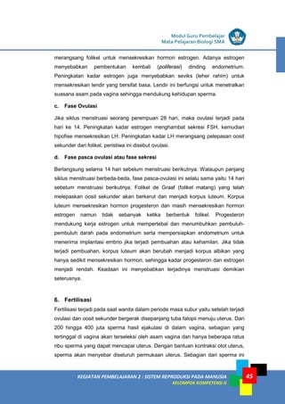 LISTRIK untuk SMP
KEGIATAN PEMBELAJARAN 2 : SISTEM REPRODUKSI PADA MANUSIA
KELOMPOK KOMPETENSI G
Modul Guru Pembelajar
Mata Pelajaran Biologi SMA
45
merangsang folikel untuk mensekresikan hormon estrogen. Adanya estrogen
menyebabkan pembentukan kembali (poliferasi) dinding endometrium.
Peningkatan kadar estrogen juga menyebabkan seviks (leher rahim) untuk
mensekresikan lendir yang bersifat basa. Lendir ini berfungsi untuk menetralkan
suasana asam pada vagina sehingga mendukung kehidupan sperma.
c. Fase Ovulasi
Jika siklus menstruasi seorang perempuan 28 hari, maka ovulasi terjadi pada
hari ke 14. Peningkatan kadar estrogen menghambat sekresi FSH, kemudian
hipofise mensekresikan LH. Peningkatan kadar LH merangsang pelepasan oosit
sekunder dari folikel, peristiwa ini disebut ovulasi.
d. Fase pasca ovulasi atau fase sekresi
Berlangsung selama 14 hari sebelum menstruasi berikutnya. Walaupun panjang
siklus menstruasi berbeda-beda, fase pasca-ovulasi ini selalu sama yaitu 14 hari
sebelum menstruasi berikutnya. Folikel de Graaf (folikel matang) yang telah
melepaskan oosit sekunder akan berkerut dan menjadi korpus luteum. Korpus
luteum mensekresikan hormon progesteron dan masih mensekresikan hormon
estrogen namun tidak sebanyak ketika berbentuk folikel. Progesteron
mendukung kerja estrogen untuk mempertebal dan menumbuhkan pembuluh-
pembuluh darah pada endometrium serta mempersiapkan endometrium untuk
menerima implantasi embrio jika terjadi pembuahan atau kehamilan. Jika tidak
terjadi pembuahan, korpus luteum akan berubah menjadi korpus albikan yang
hanya sedikit mensekresikan hormon, sehingga kadar progesteron dan estrogen
menjadi rendah. Keadaan ini menyebabkan terjadinya menstruasi demikian
seterusnya.
6. Fertilisasi
Fertilisasi terjadi pada saat wanita dalam periode masa subur yaitu setelah terjadi
ovulasi dan oosit sekunder bergerak disepanjang tuba falopii menuju uterus. Dari
200 hingga 400 juta sperma hasil ejakulasi di dalam vagina, sebagian yang
tertinggal di vagina akan terseleksi oleh asam vagina dan hanya beberapa ratus
ribu sperma yang dapat mencapai uterus. Dengan bantuan kontraksi otot uterus,
sperma akan menyebar diseluruh permukaan uterus. Sebagian dari sperma ini
 