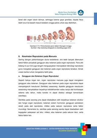 LISTRIK untuk SMP
KEGIATAN PEMBELAJARAN 2 : SISTEM REPRODUKSI PADA MANUSIA
KELOMPOK KOMPETENSI G
Modul Guru Pembelajar
Mata Pelajaran Biologi SMA
51
berat dari organ tubuh lainnya, sehingga karena gaya gravitasi; kepala fetus
telah turun ke bawah masuk kedalam rongga pelvis untuk siap dilahirkan.
Gambar 2.13. Pertumbuhan janin dalam hitungan minggu
Sumber: http://pewidya.blogspot.co.id/p/blog-page.html
8. Kesehatan Reproduksi pada Manusia
Seiring dengan perkembangan dunia kedokteran, kini telah banyak ditemukan
faktor-faktor penyebab gangguan atau kelainan pada organ reproduksi. Para ahli
bidang ini pun kini juga tengah mengupayakan menciptakan teknologi reproduksi
guna mengatasi gangguan dan kelainan pada organ reproduksi tersebut. Simak
uraian berikut untuk mengetahui lebih jelas.
a. Gangguan dan Kelainan Organ Reproduksi
Seperti halnya organ lain, organ reproduksi manusia juga dapat mengalami
gangguan atau kelainan. Gangguan atau kelainan pada organ reproduksi dapat
mempengaruhi kesuburan (fertilitas) seseorang. Apabila gangguan kesuburan
seseorang menyebabkan terjadinya ketidakhamilan walau tanpa alat kontrasepsi
selama satu tahun, maka kondisi ini dapat disebut sebagai kemandulan
(sterilitas).
Sterilitas pada seorang pria dapat disebabkan oleh terjadinya kelainan struktur
dan fungsi organ reproduksi, kelainan sistem hormonal, gangguan peredaran
darah pada alat reproduksi, infeksi pada saluran reproduksi serta faktor
imunologi. Sementara itu, sterilitas pada seorang wanita dapat disebabkan oleh
kegagalan pelepasan sel telur, infeksi, atau kelainan pada saluran telur, serta
faktor-faktor lain.
 