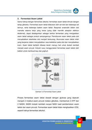 LISTRIK untuk SMP
KEGIATAN PEMBELAJARAN 3: FERMENTASI
KELOMPOK KOMPETENSI G
Modul Guru Pembelajar
Mata Pelajaran Biologi SMA
69
2. Fermentasi Asam Laktat
Sama halnya dengan fermentasi alkohol, fermentasi asam laktat dimulai dengan
tahap glikolisis. Fermentasi asam laktat dilakukan oleh sel otot dan beberapa sel
lainnya, serta beberapa bakteri asam laktat. Respirasi anaerobik dalam otot
mamalia selama kerja yang keras (yang tidak memiliki akseptor elektron
eksternal), dapat dikategorikan sebagai bentuk fermentasi yang mengasilkan
asam laktat sebagai produk sampingannya. Penimbunan asam laktat pada otot
menyebabkan elastisitas otot menjadi berkurang. Akumulasi asam laktat inilah
yang berperan dalam menyebabkan rasa kelelahan pada otot dan menyebabkan
kram. Asam laktat berlebih dibawa darah menuju hati untuk diubah kembali
menjadi asam piruvat. Industri susu menggunakan fermentasi asam laktat oleh
bakteri untuk membuat keju dan yoghurt.
Gambar 3.3 Fermentasi Asam Laktat
Proses fermentasi asam laktat diawali dengan glukosa yang dipecah
menjadi 2 molekul asam piruvat melalui glikolisis, membentuk 2 ATP dan
2 NADH. NADH diubah kembali menjadi NAD+ saat pembentukan asam
laktat dari asam piruvat. Fermentasi asam laktat tidak menghasilkan CO2,
seperti halnya fermentasi alkohol.
 