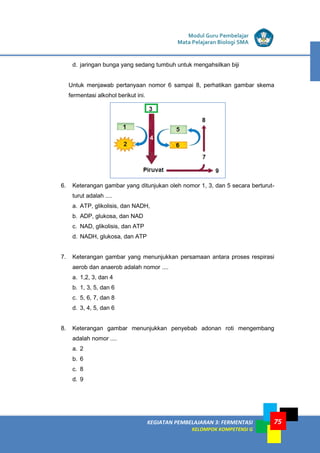 LISTRIK untuk SMP
KEGIATAN PEMBELAJARAN 3: FERMENTASI
KELOMPOK KOMPETENSI G
Modul Guru Pembelajar
Mata Pelajaran Biologi SMA
75
d. jaringan bunga yang sedang tumbuh untuk mengahsilkan biji
Untuk menjawab pertanyaan nomor 6 sampai 8, perhatikan gambar skema
fermentasi alkohol berikut ini.
6. Keterangan gambar yang ditunjukan oleh nomor 1, 3, dan 5 secara berturut-
turut adalah ....
a. ATP, glikolisis, dan NADH,
b. ADP, glukosa, dan NAD
c. NAD, glikolisis, dan ATP
d. NADH, glukosa, dan ATP
7. Keterangan gambar yang menunjukkan persamaan antara proses respirasi
aerob dan anaerob adalah nomor ....
a. 1,2, 3, dan 4
b. 1, 3, 5, dan 6
c. 5, 6, 7, dan 8
d. 3, 4, 5, dan 6
8. Keterangan gambar menunjukkan penyebab adonan roti mengembang
adalah nomor ....
a. 2
b. 6
c. 8
d. 9
 