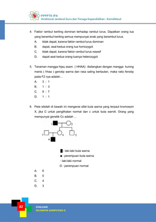 PPPPTK IPA
Direktorat Jenderal Guru dan Tenaga Kependidikan - Kemdikbud
EVALUASI
KELOMPOK KOMPETENSI G
82
4. Faktor rambut keriting dominan terhadap rambut lurus. Dapatkan orang tua
yang berambut keriting semua mempunyai anak yang berambut lurus.
A. tidak dapat, karena faktor rambut lurus dominan
B. dapat, asal kedua orang tua homozygot
C. tidak dapat, karena faktor rambut lurus resesif
D. dapat asal kedua orang tuanya heterozygot
5. Tanaman mangga hijau asam ( HHAA) disilangkan dengan mangga kuning
manis ( hhaa ) genotip warna dan rasa saling bertautan, maka ratio fenotip
pada F2 nya adalah…
A. 3 : 1
B. 1 : 3
C. 9 : 7
D. 1 : 1
6. Peta silsilah di bawah ini mengenai sifat buta warna yang terpaut kromosom
X, jika C untuk penglihatan normal dan c untuk buta warnA. Orang yang
mempunyai genetik Cc adalah ...
█ : laki-laki buta warna
☻: perempuan buta warna
: laki-laki normal
O : perempuan normal
A. 6
B. 5
C. 4
D. 3
 