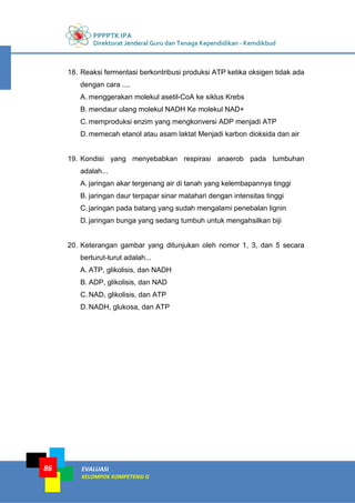 PPPPTK IPA
Direktorat Jenderal Guru dan Tenaga Kependidikan - Kemdikbud
EVALUASI
KELOMPOK KOMPETENSI G
86
18. Reaksi fermentasi berkontribusi produksi ATP ketika oksigen tidak ada
dengan cara ....
A. menggerakan molekul asetil-CoA ke siklus Krebs
B. mendaur ulang molekul NADH Ke molekul NAD+
C. memproduksi enzim yang mengkonversi ADP menjadi ATP
D. memecah etanol atau asam laktat Menjadi karbon dioksida dan air
19. Kondisi yang menyebabkan respirasi anaerob pada tumbuhan
adalah...
A. jaringan akar tergenang air di tanah yang kelembapannya tinggi
B. jaringan daur terpapar sinar matahari dengan intensitas tinggi
C. jaringan pada batang yang sudah mengalami penebalan lignin
D. jaringan bunga yang sedang tumbuh untuk mengahsilkan biji
20. Keterangan gambar yang ditunjukan oleh nomor 1, 3, dan 5 secara
berturut-turut adalah...
A. ATP, glikolisis, dan NADH
B. ADP, glikolisis, dan NAD
C. NAD, glikolisis, dan ATP
D. NADH, glukosa, dan ATP
 
