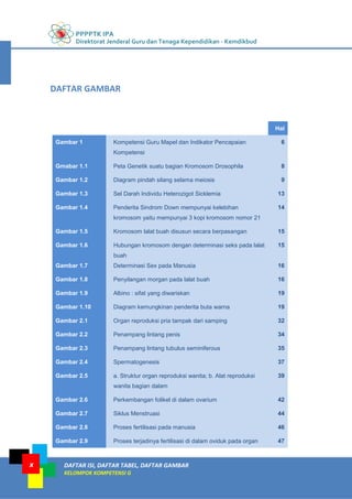 PPPPTK IPA
Direktorat Jenderal Guru dan Tenaga Kependidikan - Kemdikbud
DAFTAR ISI, DAFTAR TABEL, DAFTAR GAMBAR
KELOMPOK KOMPETENSI G
x
Hal
Gambar 1 Kompetensi Guru Mapel dan Indikator Pencapaian
Kompetensi
6
Gmabar 1.1 Peta Genetik suatu bagian Kromosom Drosophila 8
Gambar 1.2 Diagram pindah silang selama meiosis 9
Gambar 1.3 Sel Darah Individu Heterozigot Sicklemia 13
Gambar 1.4 Penderita Sindrom Down mempunyai kelebihan
kromosom yaitu mempunyai 3 kopi kromosom nomor 21
14
Gambar 1.5 Kromosom lalat buah disusun secara berpasangan 15
Gambar 1.6 Hubungan kromosom dengan determinasi seks pada lalat
buah
15
Gambar 1.7 Determinasi Sex pada Manusia 16
Gambar 1.8 Penyilangan morgan pada lalat buah 16
Gambar 1.9 Albino : sifat yang diwariskan 19
Gambar 1.10 Diagram kemungkinan penderita buta warna 19
Gambar 2.1 Organ reproduksi pria tampak dari samping 32
Gambar 2.2 Penampang lintang penis 34
Gambar 2.3 Penampang lintang tubulus seminiferous 35
Gambar 2.4 Spermatogenesis 37
Gambar 2.5 a. Struktur organ reproduksi wanita; b. Alat reproduksi
wanita bagian dalam
39
Gambar 2.6 Perkembangan folikel di dalam ovarium 42
Gambar 2.7 Siklus Menstruasi 44
Gambar 2.8 Proses fertilisasi pada manusia 46
Gambar 2.9 Proses terjadinya fertilisasi di dalam oviduk pada organ 47
DAFTAR GAMBAR
 