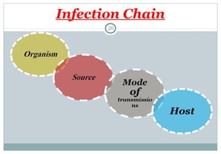 Infection Chain
26

 