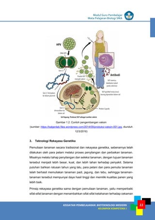 LISTRIK untuk SMP
KEGIATAN PEMBELAJARAN: BIOTEKNOLOGI MODERN
KELOMPOK KOMPETENSI J
Modul Guru Pembelajar
Mata Pelajaran Biologi SMA
11
Gambar 1.2. Contoh pengembangan vaksin
(sumber: https://kalgenlab.files.wordpress.com/2014/09/produksi-vaksin-001.jpg, diunduh
12/3/2016)
3. Teknologi Rekayasa Genetika
Pemuliaan tanaman secara tradisional dan rekayasa genetika, sebenarnya telah
dilakukan oleh para petani melalui proses penyilangan dan perbaikan tanaman.
Misalnya melalui tahap penyilangan dan seleksi tanaman, dengan tujuan tanaman
tersebut menjadi lebih besar, kuat, dan lebih tahan terhadap penyakit. Selama
puluhan bahkan ratusan tahun yang lalu, para petani dan para pemulia tanaman
telah berhasil memuliakan tanaman padi, jagung, dan tebu, sehingga tanaman-
tanaman tersebut mempunyai daya hasil tinggi dan memiliki kualitas panen yang
lebih baik.
Prinsip rekayasa genetika sama dengan pemuliaan tanaman, yaitu memperbaiki
sifat-sifat tanaman dengan menambahkan sifat-sifat ketahanan terhadap cekaman
 