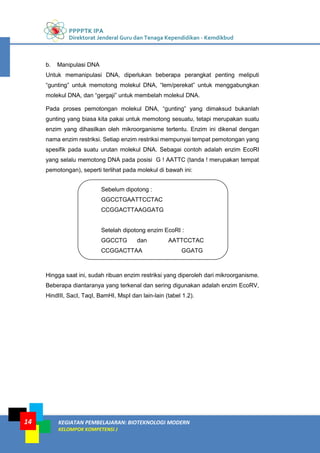 PPPPTK IPA
Direktorat Jenderal Guru dan Tenaga Kependidikan - Kemdikbud
KEGIATAN PEMBELAJARAN: BIOTEKNOLOGI MODERN
KELOMPOK KOMPETENSI J
14
b. Manipulasi DNA
Untuk memanipulasi DNA, diperlukan beberapa perangkat penting meliputi
“gunting” untuk memotong molekul DNA, “lem/perekat” untuk menggabungkan
molekul DNA, dan “gergaji” untuk membelah molekul DNA.
Pada proses pemotongan molekul DNA, “gunting” yang dimaksud bukanlah
gunting yang biasa kita pakai untuk memotong sesuatu, tetapi merupakan suatu
enzim yang dihasilkan oleh mikroorganisme tertentu. Enzim ini dikenal dengan
nama enzim restriksi. Setiap enzim restriksi mempunyai tempat pemotongan yang
spesifik pada suatu urutan molekul DNA. Sebagai contoh adalah enzim EcoRI
yang selalu memotong DNA pada posisi G ! AATTC (tanda ! merupakan tempat
pemotongan), seperti terlihat pada molekul di bawah ini:
Hingga saat ini, sudah ribuan enzim restriksi yang diperoleh dari mikroorganisme.
Beberapa diantaranya yang terkenal dan sering digunakan adalah enzim EcoRV,
HindIII, SacI, TaqI, BamHI, MspI dan lain-lain (tabel 1.2).
Sebelum dipotong :
GGCCTGAATTCCTAC
CCGGACTTAAGGATG
Setelah dipotong enzim EcoRI :
GGCCTG dan AATTCCTAC
CCGGACTTAA GGATG
 