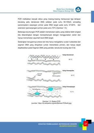 LISTRIK untuk SMP
KEGIATAN PEMBELAJARAN: BIOTEKNOLOGI MODERN
KELOMPOK KOMPETENSI J
Modul Guru Pembelajar
Mata Pelajaran Biologi SMA
17
PCR melibatkan banyak siklus yang masing-masing mempunyai tiga tahapan
berulang yaitu denaturasi DNA cetakan pada suhu 94-100oC, annealing
(penempelan) pasangan primer pada DNA target pada suhu 37-60o
C, dan
extension (pemanjangan) primer pada suhu 72o
C (Gambar 1.5)
Beberapa keuntungan PCR adalah memerlukan waktu yang relative lebih singkat
bila dibandingkan dengan memperbanyak dengan menggunakan vector dan
hanya memerlukan sejumlah kecil DNA target.
Sedangkan kerugiannya antara lain kita harus mengetahui urutan nukleotida dari
segmen DNA yang diinginkan (untuk mensintesis primer), dan hanya dapat
diaplikasikan pada fragmen DNA yang pendek, berukuran kurang dari 5 kb.
Gambar 1.5. Reaksi PCR
(sumber: https://id.wikipedia.org/wiki/Berkas:PCRedit.jpg)
 