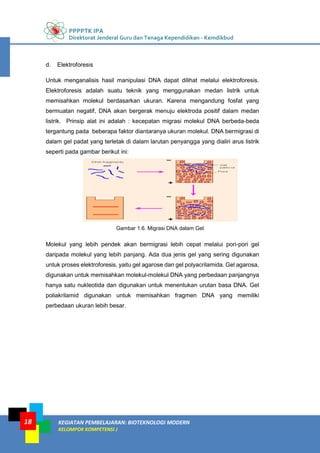 PPPPTK IPA
Direktorat Jenderal Guru dan Tenaga Kependidikan - Kemdikbud
KEGIATAN PEMBELAJARAN: BIOTEKNOLOGI MODERN
KELOMPOK KOMPETENSI J
18
d. Elektroforesis
Untuk menganalisis hasil manipulasi DNA dapat dilihat melalui elektroforesis.
Elektroforesis adalah suatu teknik yang menggunakan medan listrik untuk
memisahkan molekul berdasarkan ukuran. Karena mengandung fosfat yang
bermuatan negatif, DNA akan bergerak menuju elektroda positif dalam medan
listrik. Prinsip alat ini adalah : kecepatan migrasi molekul DNA berbeda-beda
tergantung pada beberapa faktor diantaranya ukuran molekul. DNA bermigrasi di
dalam gel padat yang terletak di dalam larutan penyangga yang dialiri arus listrik
seperti pada gambar berikut ini:
Gambar 1.6. Migrasi DNA dalam Gel
Molekul yang lebih pendek akan bermigrasi lebih cepat melalui pori-pori gel
daripada molekul yang lebih panjang. Ada dua jenis gel yang sering digunakan
untuk proses elektroforesis, yaitu gel agarose dan gel polyacrilamida. Gel agarosa,
digunakan untuk memisahkan molekul-molekul DNA yang perbedaan panjangnya
hanya satu nukleotida dan digunakan untuk menentukan urutan basa DNA. Gel
poliakrilamid digunakan untuk memisahkan fragmen DNA yang memiliki
perbedaan ukuran lebih besar.
 