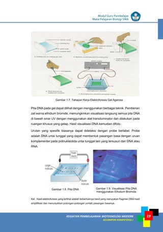 LISTRIK untuk SMP
KEGIATAN PEMBELAJARAN: BIOTEKNOLOGI MODERN
KELOMPOK KOMPETENSI J
Modul Guru Pembelajar
Mata Pelajaran Biologi SMA
19
Gambar 1.7. Tahapan Kerja Elektroforesis Gel Agarosa
Pita DNA pada gel dapat dilihat dengan menggunakan berbagai teknik. Pemberian
zat warna ethidium bromide, memungkinkan visualisasi langsung semua pita DNA
di bawah sinar UV dengan menggunakan alat transiluminator dan dilakukan pada
ruangan khusus yang gelap. Hasil visualisasi DNA kemudian difoto.
Urutan yang spesifik biasanya dapat dideteksi dengan probe berlabel. Probe
adalah DNA untai tunggal yang dapat membentuk pasangan basa dengan uruan
komplementer pada polinukleotida untai tunggal lain yang tersusun dari DNA atau
RNA.
Gambar 1.8. Pita DNA Gambar 1.9. Visualisasi Pita DNA
menggunakan Ethidium Bromida
Ket : Hasil elektroforesis yang terlihat adalah terbentuknya band yang merupakan fragmen DNA hasil
amplifikasi dan menunjukkan potongan-potongan jumlah pasangan basanya.
 
