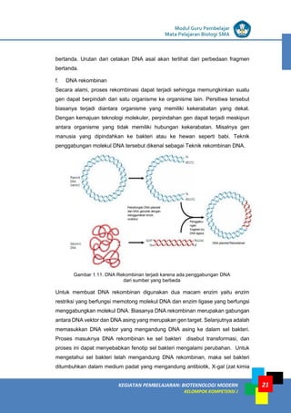 LISTRIK untuk SMP
KEGIATAN PEMBELAJARAN: BIOTEKNOLOGI MODERN
KELOMPOK KOMPETENSI J
Modul Guru Pembelajar
Mata Pelajaran Biologi SMA
21
bertanda. Urutan dari cetakan DNA asal akan terlihat dari perbedaan fragmen
bertanda.
f. DNA rekombinan
Secara alami, proses rekombinasi dapat terjadi sehingga memungkinkan suatu
gen dapat berpindah dari satu organisme ke organisme lain. Persitiwa tersebut
biasanya terjadi diantara organisme yang memiliki kekerabatan yang dekat.
Dengan kemajuan teknologi molekuler, perpindahan gen dapat terjadi meskipun
antara organisme yang tidak memiliki hubungan kekerabatan. Misalnya gen
manusia yang dipindahkan ke bakteri atau ke hewan seperti babi. Teknik
penggabungan molekul DNA tersebut dikenal sebagai Teknik rekombinan DNA.
Gambar 1.11. DNA Rekombinan terjadi karena ada penggabungan DNA
dari sumber yang berbeda
Untuk membuat DNA rekombinan digunakan dua macam enzim yaitu enzim
restriksi yang berfungsi memotong molekul DNA dan enzim ligase yang berfungsi
menggabungkan molekul DNA. Biasanya DNA rekombinan merupakan gabungan
antara DNA vektor dan DNA asing yang merupakan gen target. Selanjutnya adalah
memasukkan DNA vektor yang mengandung DNA asing ke dalam sel bakteri.
Proses masuknya DNA rekombinan ke sel bakteri disebut transformasi, dan
proses ini dapat menyebabkan fenotip sel bakteri mengalami perubahan. Untuk
mengetahui sel bakteri telah mengandung DNA rekombinan, maka sel bakteri
ditumbuhkan dalam medium padat yang mengandung antibiotik, X-gal (zat kimia
 