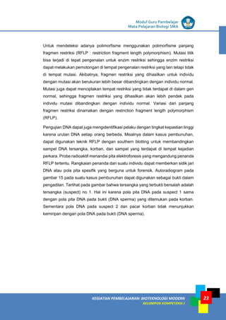 LISTRIK untuk SMP
KEGIATAN PEMBELAJARAN: BIOTEKNOLOGI MODERN
KELOMPOK KOMPETENSI J
Modul Guru Pembelajar
Mata Pelajaran Biologi SMA
23
Untuk mendeteksi adanya polimorfisme menggunakan polimorfisme panjang
fragmen restriksi (RFLP : restriction fragment length polymorphism). Mutasi titik
bisa terjadi di tepat pengenalan untuk enzim restriksi sehingga enzim restriksi
dapat melakukan pemotongan di tempat pengenalan restriksi yang lain tetapi tidak
di tempat mutasi. Akibatnya, fragmen restriksi yang dihasilkan untuk individu
dengan mutasi akan berukuran lebih besar dibandingkan dengan individu normal.
Mutasi juga dapat menciptakan tempat restriksi yang tidak terdapat di dalam gen
normal, sehingga fragmen restriksi yang dihasilkan akan lebih pendek pada
individu mutasi dibandingkan dengan individu normal. Variasi dari panjang
fragmen restriksi dinamakan dengan restriction fragment length polymorphism
(RFLP).
Pengujian DNA dapat juga mengidentifikasi pelaku dengan tingkat kepastian tinggi
karena urutan DNA setiap orang berbeda. Misalnya dalam kasus pembunuhan,
dapat digunakan teknik RFLP dengan southern blotting untuk membandingkan
sampel DNA tersangka, korban, dan sampel yang terdapat di tempat kejadian
perkara. Probe radioaktif menandai pita elektroforesis yang mengandung penanda
RFLP tertentu. Rangkaian penanda dari suatu individu dapat memberkan sidik jari
DNA atau pola pita spesifik yang berguna untuk forensik. Autoradiogram pada
gambar 15 pada suatu kasus pembunuhan dapat digunakan sebagai bukti dalam
pengadilan. Terlihat pada gambar bahwa tersangka yang terbukti bersalah adalah
tersangka (suspect) no 1. Hal ini karena pola pita DNA pada suspect 1 sama
dengan pola pita DNA pada bukti (DNA sperma) yang ditemukan pada korban.
Sementara pola DNA pada suspect 2 dan pacar korban tidak menunjukkan
kemiripan dengan pola DNA pada bukti (DNA sperma).
 