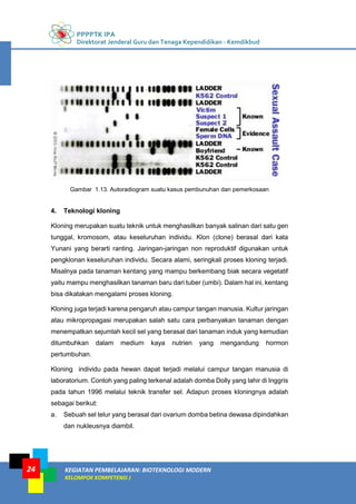 PPPPTK IPA
Direktorat Jenderal Guru dan Tenaga Kependidikan - Kemdikbud
KEGIATAN PEMBELAJARAN: BIOTEKNOLOGI MODERN
KELOMPOK KOMPETENSI J
24
Gambar 1.13. Autoradiogram suatu kasus pembunuhan dan pemerkosaan
4. Teknologi kloning
Kloning merupakan suatu teknik untuk menghasilkan banyak salinan dari satu gen
tunggal, kromosom, atau keseluruhan individu. Klon (clone) berasal dari kata
Yunani yang berarti ranting. Jaringan-jaringan non reproduktif digunakan untuk
pengklonan keseluruhan individu. Secara alami, seringkali proses kloning terjadi.
Misalnya pada tanaman kentang yang mampu berkembang biak secara vegetatif
yaitu mampu menghasilkan tanaman baru dari tuber (umbi). Dalam hal ini, kentang
bisa dikatakan mengalami proses kloning.
Kloning juga terjadi karena pengaruh atau campur tangan manusia. Kultur jaringan
atau mikropropagasi merupakan salah satu cara perbanyakan tanaman dengan
menempatkan sejumlah kecil sel yang berasal dari tanaman induk yang kemudian
ditumbuhkan dalam medium kaya nutrien yang mengandung hormon
pertumbuhan.
Kloning individu pada hewan dapat terjadi melalui campur tangan manusia di
laboratorium. Contoh yang paling terkenal adalah domba Dolly yang lahir di Inggris
pada tahun 1996 melalui teknik transfer sel. Adapun proses kloningnya adalah
sebagai berikut:
a. Sebuah sel telur yang berasal dari ovarium domba betina dewasa dipindahkan
dan nukleusnya diambil.
 