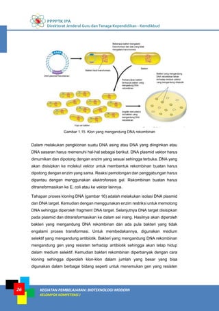 PPPPTK IPA
Direktorat Jenderal Guru dan Tenaga Kependidikan - Kemdikbud
KEGIATAN PEMBELAJARAN: BIOTEKNOLOGI MODERN
KELOMPOK KOMPETENSI J
26
Gambar 1.15. Klon yang mengandung DNA rekombinan
Dalam melakukan pengklonan suatu DNA asing atau DNA yang diinginkan atau
DNA sasaran harus memenuhi hal-hal sebagai berikut. DNA plasmid vektor harus
dimurnikan dan dipotong dengan enzim yang sesuai sehingga terbuka. DNA yang
akan disisipkan ke molekul vektor untuk membentuk rekombinan buatan harus
dipotong dengan enzim yang sama. Reaksi pemotongan dan penggabungan harus
dipantau dengan menggunakan elektroforesis gel. Rekombinan buatan harus
ditransformasikan ke E. coli atau ke vektor lainnya.
Tahapan proses kloning DNA (gambar 16) adalah melakukan isolasi DNA plasmid
dan DNA target. Kemudian dengan menggunakan enzim restriksi untuk memotong
DNA sehingga diperoleh fragment DNA target. Selanjutnya DNA target disisipkan
pada plasmid dan ditransformasikan ke dalam sel inang. Hasilnya akan diperoleh
bakteri yang mengandung DNA rekombinan dan ada pula bakteri yang tidak
engalami proses transformasi. Untuk membedakannya, digunakan medium
selektif yang mengandung antibiotik. Bakteri yang mengandung DNA rekombinan
mengandung gen yang resisten terhadap antibiotik sehingga akan tetap hidup
dalam medium selektif. Kemudian bakteri rekombinan diperbanyak dengan cara
kloning sehingga diperoleh klon-klon dalam jumlah yang besar yang bisa
digunakan dalam berbagai bidang seperti untuk menemukan gen yang resisten
 