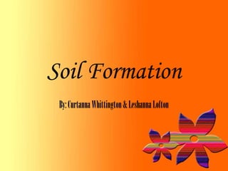 Soil Formation
 By: Curtanna Whittington & Leshanna Lofton
 