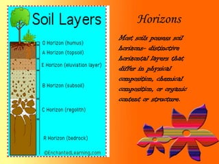 Horizons
Most soils possess soil
horizons- distinctive
horizontal layers that
differ in physical
composition, chemical
composition, or organic
content or structure.
 