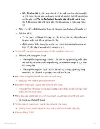 Nếu T không đổi → phế nang nhỏ sẽ có áp suất cao hơn phế nang lớn
→ phế nang nhỏ dễ xẹp, phế nang lớn dễ vỡ. nhưng thực tế hiện tượng
này ko xảy ra vì Vai trò Surfactant thay đổi sức căng bề mặt⇒ thay
đổi T để áp suất các phế nang gần như bằng nhau → ngăn xẹp hoặc
vỡ.
Giúp cho các chất khí hòa tan được dễ dàng và tạo đk cho sự trao đổi khí
1 số lâm sàng:
TH tắc mạch phổi hoặc thở oxy cao cấp áp kéo dài thì chất surfactant
bị giảm hoặc mất dần⇒ rối loạn hô hấp
Ở trẻ sơ sinh thiếu tháng lớp surfactant hình thành chưa đầy đủ ⇒ rối
loạn hô hấp gây tử vong ( bệnh màng trong )
Tế bào biểu mô phế nang của màng hô hấp mấy loại? như nào?
Biểu mô phế nang gồm 2 loại
Tế bào phế nang nhỏ- typ I ( 90%) : Tế bào lót nguyên thủy, mẫn cảm
với mọi đột nhập làm hại vào phế nang, có lớp bào tương trải dọc theo
lớp màng đáy
Tế bào phế nang lớn- TypII ( 10%): Tế bào trụ vuông, tập trung từng
nhóm 6-7 tb, tiết chất hoạt diện, sản xuất surfactan
Đặc điểm Màng đáy của tế bào biểu mô phế nang :
dạng sợi, bản chất là glucopolysaccarit
Đặc điểm Khoang kẽ của tế bào biểu mô phế nang
khoảng trống nằm giữa màng đáy của lớp tế bào biểu mô phế nang và lớp
tế bào nội mô mao mạch
Màng đáy của lớp tế bào biểu mô mao mạch của tế bào biểu mô phế nang
rất mỏng, có những lỗ thủng
Tế bào nội mô mao mạch của tế bào biểu mô phế nang
những tb dẹt, bào tương trải rộng, màng lồi lõm có nhiều nếp gấp
Cấu tạo Màng Phổi ?
Sinh Lý Hô Hấp anki 11
 