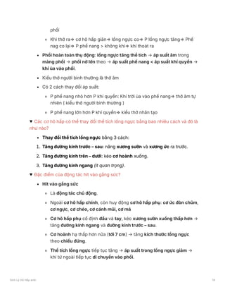 phổi
Khi thở ra⇒ cơ hô hấp giãn⇒ lồng ngực co⇒ P lồng ngực tăng⇒ Phế
nag co lại⇒ P phế nang > không khí⇒ khí thoát ra
Phổi hoàn toàn thụ động: lồng ngực tăng thể tích → áp suất âm trong
màng phổi → phổi nở lớn theo → áp suất phế nang < áp suất khí quyển →
khí ùa vào phổi.
Kiểu thở người bình thường là thở âm
Có 2 cách thay đổi áp suất:
P phế nang nhỏ hơn P khí quyển: Khí trời ùa vào phế nang⇒ thở âm tự
nhiên ( kiểu thở người bình thường )
P phế nang lớn hơn P khí quyển⇒ kiểu thở nhân tạo
Các cơ hô hấp có thể thay đổi thể tích lồng ngực bằng bao nhiêu cách và đó là
như nào?
Thay đổi thể tích lồng ngực bằng 3 cách:
1. Tăng đường kính trước – sau: nâng xương sườn và xương ức ra trước.
2. Tăng đường kính trên – dưới: kéo cơ hoành xuống.
3. Tăng đường kính ngang (ít quan trọng).
Đặc điểm của động tác hít vào gắng sức?
Hít vào gắng sức
Là động tác chủ động.
Ngoài cơ hô hấp chính, còn huy động cơ hô hấp phụ: cơ ức đòn chũm,
cơ ngực, cơ chéo, cơ cánh mũi, cơ má
Cơ hô hấp phụ cố định đầu và tay, kéo xương sườn xuống thấp hơn →
tăng đường kính ngang và đường kính trước – sau.
Cơ hoành hạ thấp hơn nữa (tới 7 cm) → tăng kích thước lồng ngực
theo chiều đứng.
Thể tích lồng ngực tiếp tục tăng → áp suất trong lồng ngực giảm →
khí từ ngoài tiếp tục di chuyển vào phổi.
Sinh Lý Hô Hấp anki 14
 