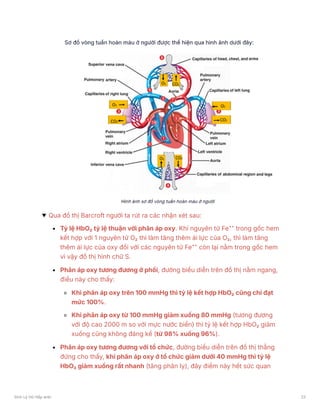 Qua đồ thị Barcroft người ta rút ra các nhận xét sau:
Tỷ lệ HbO₂ tỷ lệ thuận với phân áp oxy. Khi nguyên tử Fe⁺⁺ trong gốc hem
kết hợp với 1 nguyên tử O₂ thì làm tăng thêm ái lực của O₂, thì làm tăng
thêm ái lực của oxy đối với các nguyên tử Fe⁺⁺ còn lại nằm trong gốc hem
vì vậy đồ thị hình chữ S.
Phân áp oxy tương đương ở phổi, đường biểu diễn trên đồ thị nằm ngang,
điều này cho thấy:
Khi phân áp oxy trên 100 mmHg thì tỷ lệ kết hợp HbO₂ cũng chỉ đạt
mức 100%.
Khi phân áp oxy từ 100 mmHg giảm xuống 80 mmHg (tương đương
với độ cao 2000 m so với mực nước biển) thì tỷ lệ kết hợp HbO₂ giảm
xuống cũng không đáng kể (từ 98% xuống 96%).
Phân áp oxy tương đương với tổ chức, đường biểu diễn trên đồ thị thẳng
đứng cho thấy, khi phân áp oxy ở tổ chức giảm dưới 40 mmHg thì tỷ lệ
HbO₂ giảm xuống rất nhanh (tăng phân ly), đây điểm này hết sức quan
Sinh Lý Hô Hấp anki 22
 