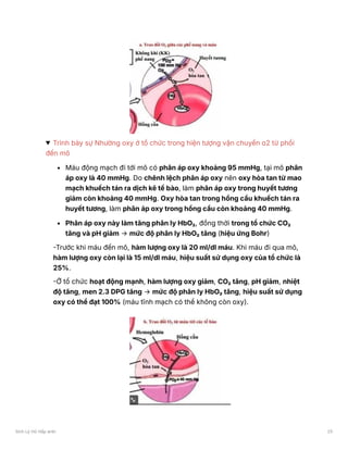 Trình bày sự Nhường oxy ở tổ chức trong hiện tượng vận chuyển o2 từ phổi
đến mô
Máu động mạch đi tới mô có phân áp oxy khoảng 95 mmHg, tại mô phân
áp oxy là 40 mmHg. Do chênh lệch phân áp oxy nên oxy hòa tan từ mao
mạch khuếch tán ra dịch kẽ tế bào, làm phân áp oxy trong huyết tương
giảm còn khoảng 40 mmHg. Oxy hòa tan trong hồng cầu khuếch tán ra
huyết tương, làm phân áp oxy trong hồng cầu còn khoảng 40 mmHg.
Phân áp oxy này làm tăng phân ly HbO₂, đồng thời trong tổ chức CO₂
tăng và pH giảm → mức độ phân ly HbO₂ tăng (hiệu ứng Bohr)
-Trước khi máu đến mô, hàm lượng oxy là 20 ml/dl máu. Khi máu đi qua mô,
hàm lượng oxy còn lại là 15 ml/dl máu, hiệu suất sử dụng oxy của tổ chức là
25%.
-Ở tổ chức hoạt động mạnh, hàm lượng oxy giảm, CO₂ tăng, pH giảm, nhiệt
độ tăng, men 2.3 DPG tăng → mức độ phân ly HbO₂ tăng, hiệu suất sử dụng
oxy có thể đạt 100% (máu tĩnh mạch có thể không còn oxy).
Sinh Lý Hô Hấp anki 25
 