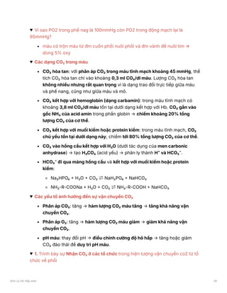 Vì sao PO2 trong phế nag là 100mmHg còn PO2 trong động mạch lại là
95mmHg?
máu có trộn máu từ đm cuốn phổi nuôi phổi và đm vành để nuôi tim ⇒
dùng 5% oxy
Các dạng CO₂ trong máu
CO₂ hòa tan: với phân áp CO₂ trong máu tĩnh mạch khoảng 45 mmHg, thể
tích CO₂ hòa tan chỉ vào khoảng 0,3 ml CO₂/dl máu. Lượng CO₂ hòa tan
không nhiều nhưng rất quan trọng vì là dạng trao đổi trực tiếp giữa máu
và phế nang, cũng như giữa máu và mô.
CO₂ kết hợp với hemoglobin (dạng carbamin): trong máu tĩnh mạch có
khoảng 3,8 ml CO₂/dl máu tồn tại dưới dạng kết hợp với Hb. CO₂ gắn vào
gốc NH₂ của acid amin trong phần globin → chiếm khoảng 20% tổng
lượng CO₂ của cơ thể.
CO₂ kết hợp với muối kiềm hoặc protein kiềm: trong máu tĩnh mạch, CO₂
chủ yếu tồn tại dưới dạng này, chiếm tới 80% tổng lượng CO₂ của cơ thể.
CO₂ vào hồng cầu kết hợp với H₂O (dưới tác dụng của men carbonic
anhydrase) → tạo H₂CO₃ (acid yếu) → phân ly thành H⁺ và HCO₃⁻.
HCO₃⁻ đi qua màng hồng cầu và kết hợp với muối kiềm hoặc protein
kiềm:
Na₂HPO₄ + H₂O + CO₂ ⇌NaH₂PO₄ + NaHCO₃
NH₂-R-COONa + H₂O + CO₂ ⇌NH₂-R-COOH + NaHCO₃
Các yếu tố ảnh hưởng đến sự vận chuyển CO₂
Phân áp CO₂: tăng → hàm lượng CO₂ máu tăng → tăng khả năng vận
chuyển CO₂.
Phân áp O₂: tăng → hàm lượng CO₂ máu giảm → giảm khả năng vận
chuyển CO₂.
pH máu: thay đổi pH → điều chỉnh cường độ hô hấp → tăng hoặc giảm
CO₂ đào thải để duy trì pH máu.
1. Trình bày sự Nhận CO₂ ở các tổ chức trong hiện tượng vận chuyển co2 từ tổ
chức về phổi
Sinh Lý Hô Hấp anki 26
 