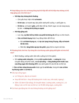 Hoạt động của các cơ trong từng loại hô hấp đối với hô hấp nhẹ nhàng và hô
hấp gắng sức như thế nào ?
Hô hấp nhẹ nhàng bình thường
Chủ yếu thực hiện nhờ cơ hoành.
Kì hít vào: cơ hoành co, kéo phần dưới phổi xuống → phổi giãn ra.
Kì thở ra: cơ hoành giãn, phổi đàn hồi lại, thành ngực và các tạng bụng
bị nén → không khí bị tống ra ngoài.
Hô hấp gắng sức
Lúc này, sự đàn hồi tự nhiên của phổi là không đủ để tạo ra thở nhanh.
Các cơ thành bụng được huy động thêm để hỗ trợ:
Khi cơ thành bụng co, nó ép các tạng trong ổ bụng, đẩy cơ hoành
lồi lên trên.
Nhờ đó, tăng thêm áp lực lên phổi, giúp thở ra mạnh mẽ hơn.
Phương thức thứ hai: Sự nâng lên của khung sườn giúp phổi giãn nở như thế
nào?
Bình thường, xương sườn nằm dốc xuống (vị trí thư giãn).
Khi xương sườn nâng lên, chúng nhô ra phía trước → xương ức cũng
chuyển động về phía trước, ra xa cột sống → tăng đường kính trước-sau
của lồng ngực lên khoảng 20% (so sánh giữa hít vào tối đa và thở ra).
→ Các cơ làm nâng khung sườn được gọi là cơ hít vào, trong khi các cơ làm
hạ khung sườn là cơ thở ra.
Cấu tạo Lồng ngực:
Là 1 lồng kín, đáy là cơ hoành
thay đổi thể tích : thay đổi đường kính: trước sau, trên dưới, ngang )
Gồm: Cố định (Cột sống), Di chuyển được ( xương sườn, xương ức ), cử
động ( các cơ hít vào và thở ra ) và 10 đốt sống ngực, xương đòn
Cơ tham gia động tác hít vào thông thường và khi gắng sức?
Sinh Lý Hô Hấp anki 3
 