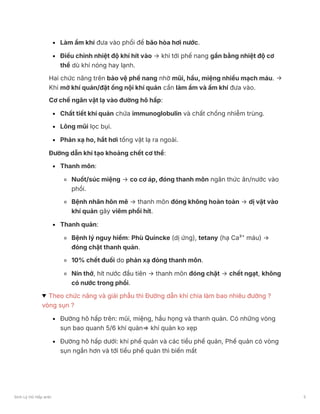 Làm ẩm khí đưa vào phổi để bão hòa hơi nước.
Điều chỉnh nhiệt độ khí hít vào → khi tới phế nang gần bằng nhiệt độ cơ
thể dù khí nóng hay lạnh.
Hai chức năng trên bảo vệ phế nang nhờ mũi, hầu, miệng nhiều mạch máu. →
Khi mở khí quản/đặt ống nội khí quản cần làm ẩm và ấm khí đưa vào.
Cơ chế ngăn vật lạ vào đường hô hấp:
Chất tiết khí quản chứa immunoglobulin và chất chống nhiễm trùng.
Lông mũi lọc bụi.
Phản xạ ho, hắt hơi tống vật lạ ra ngoài.
Đường dẫn khí tạo khoảng chết cơ thể:
Thanh môn:
Nuốt/súc miệng → co cơ áp, đóng thanh môn ngăn thức ăn/nước vào
phổi.
Bệnh nhân hôn mê → thanh môn đóng không hoàn toàn → dị vật vào
khí quản gây viêm phổi hít.
Thanh quản:
Bệnh lý nguy hiểm: Phù Quincke (dị ứng), tetany (hạ Ca²⁺ máu) →
đóng chặt thanh quản.
10% chết đuối do phản xạ đóng thanh môn.
Nín thở, hít nước đầu tiên → thanh môn đóng chặt → chết ngạt, không
có nước trong phổi.
Theo chức năng và giải phẫu thì Đường dẫn khí chia làm bao nhiêu đường ?
vòng sụn ?
Đường hô hấp trên: mũi, miệng, hầu họng và thanh quản. Có những vòng
sụn bao quanh 5/6 khí quản⇒ khí quản ko xẹp
Đường hô hấp dưới: khí phế quản và các tiểu phế quản, Phế quản có vòng
sụn ngắn hơn và tới tiểu phế quản thì biến mất
Sinh Lý Hô Hấp anki 5
 